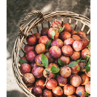500G Mận chẻ sấy dẻo (omai mận)