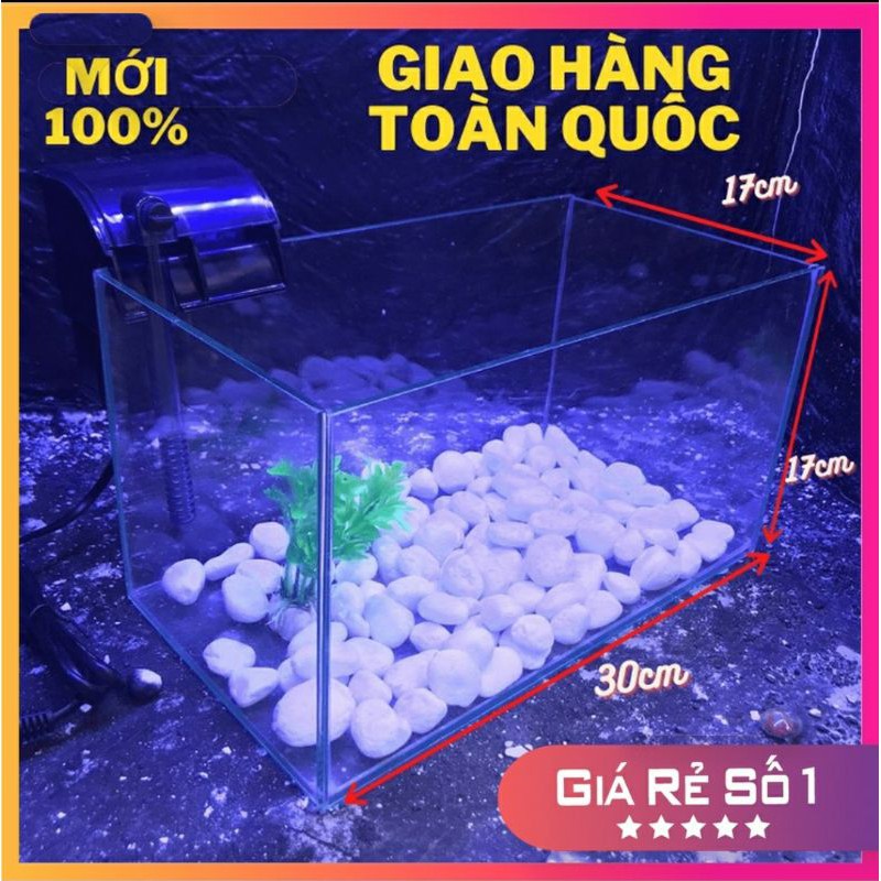 Hồ cá - bể cá mini 30x17x17 bể thủy sinh, bể cá để bàn