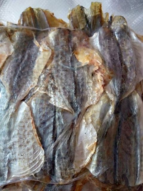 Combo 6,5kg cá mực, các loại