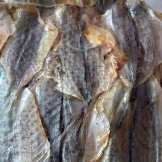Combo 6,5kg cá mực, các loại