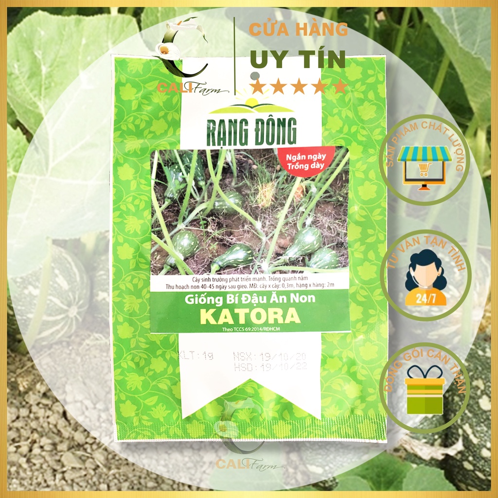 Hạt giống Bí Đậu Ăn Non KATORA 1gr