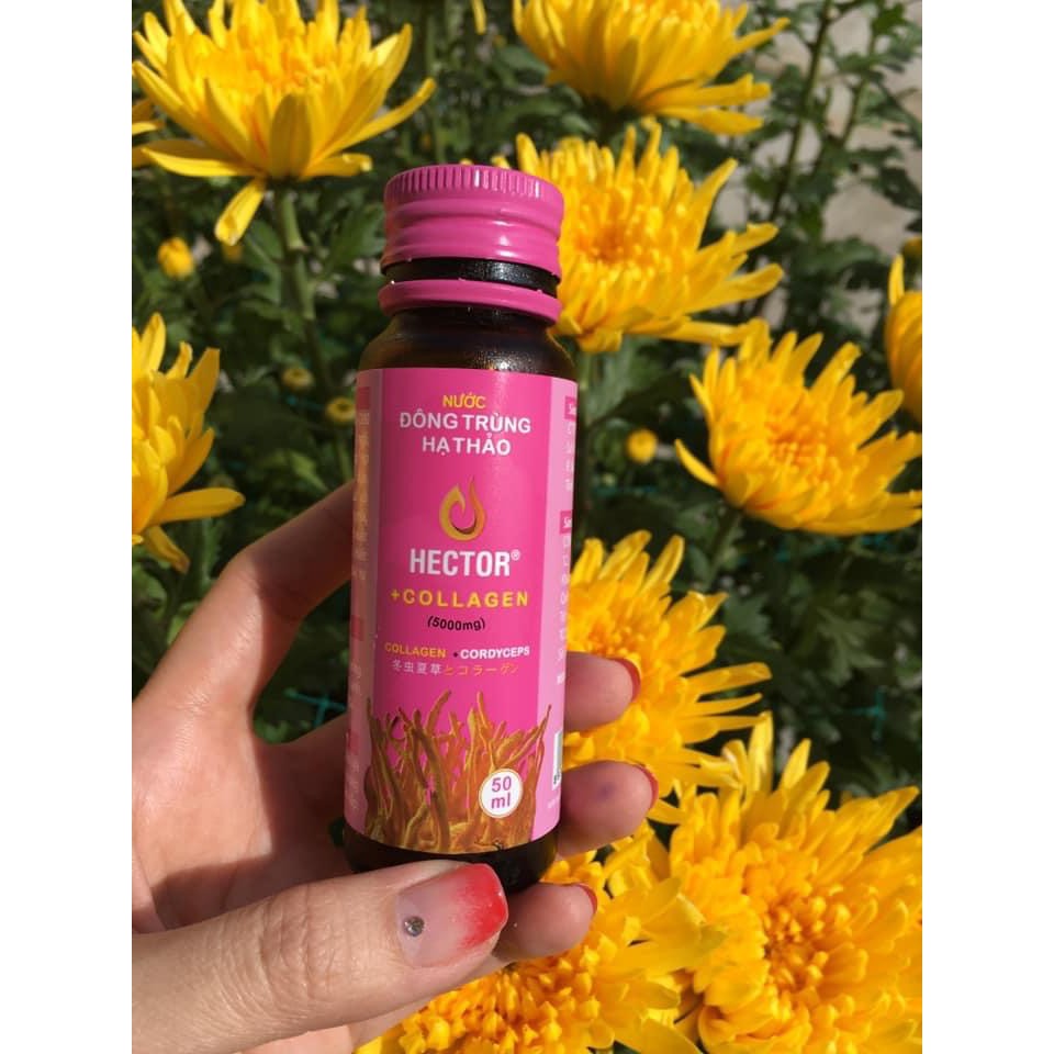 [Chính Hãng] Nước Hector Collagen Đông Trùng Hạ Thảo 1 hộp 10 chai | BigBuy360 - bigbuy360.vn