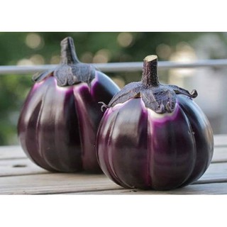 Hạt giống Cà Tím Khía F1 Thái Lan