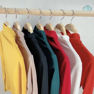 ÁO THUN CỔ LỌ TAY DÀI SIÊU MỊN ( video thật )