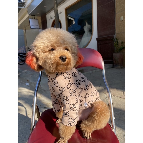 [ Hot sale ] Áo thun nỉ da cá C.K cho thú cưng