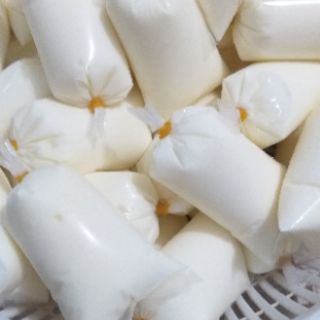 Nấm kefir