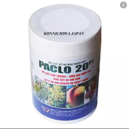 Phân bón Xử lí ra bông nghịch mùa cho xoài sầu riêng PACLO 20PT 1kg