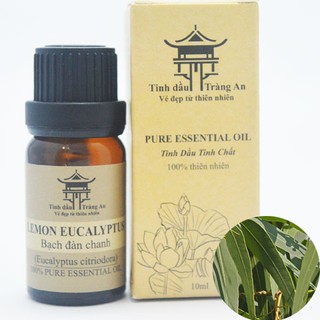 Tinh Dầu Bạch Đàn Chanh Lemon Eucalyptus | 100% Thiên Nhiên Nguyên Chất | Khử Mùi, Thơm Phòng - TINH DẦU TRÀNG AN
