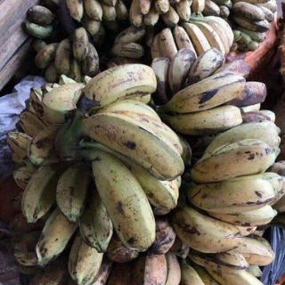 Chuối hột rừng 1kg
