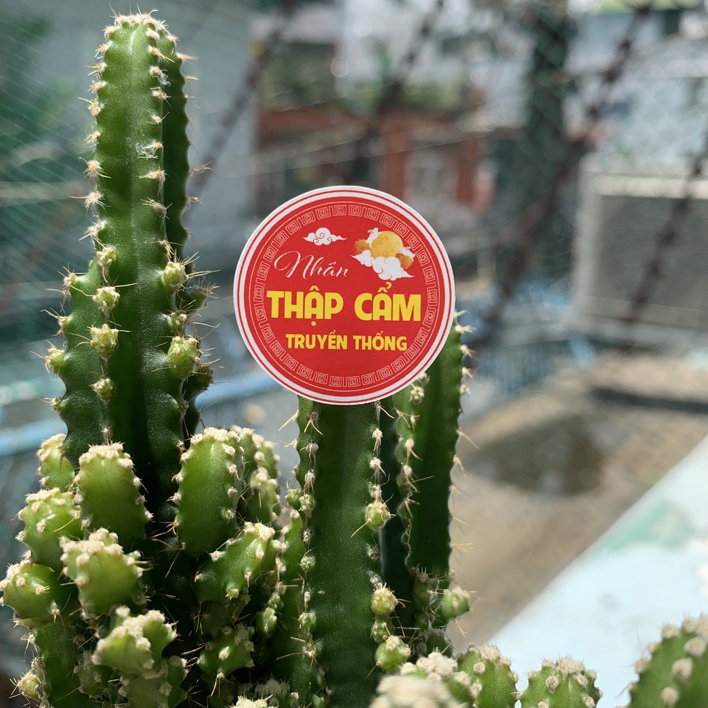 Tem nhân trung thu 100 tem nhiều nhân giao mẫu ngẫu nhiên