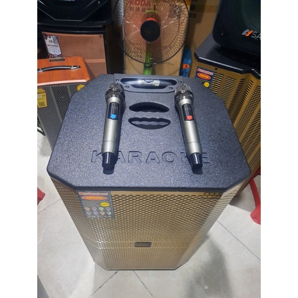 Loa kéo Karaoke Temeisheng.