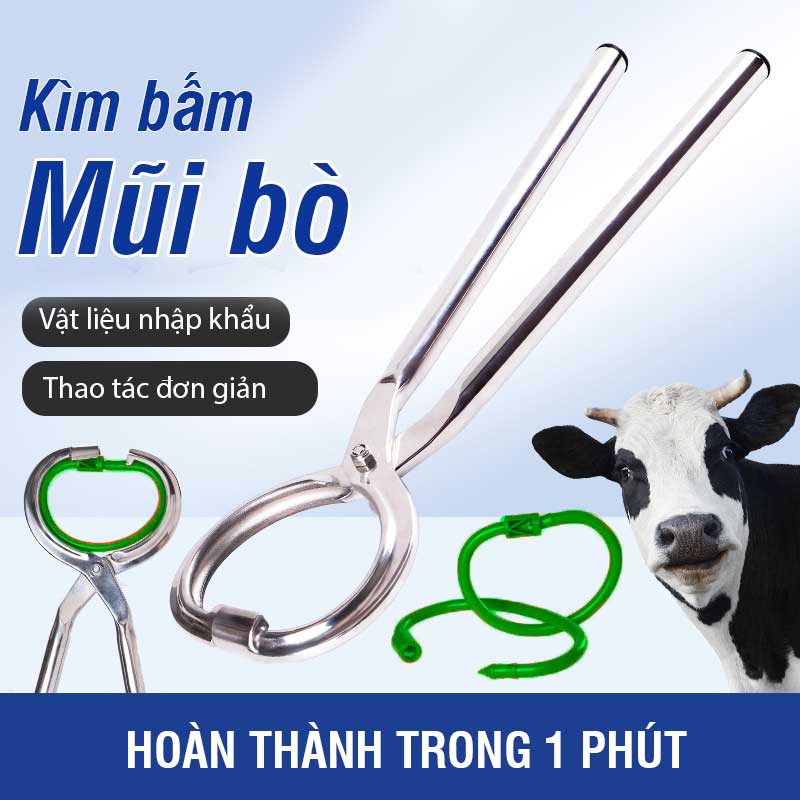 Kìm bấm vòng mũi cho trâu bò bằng inox