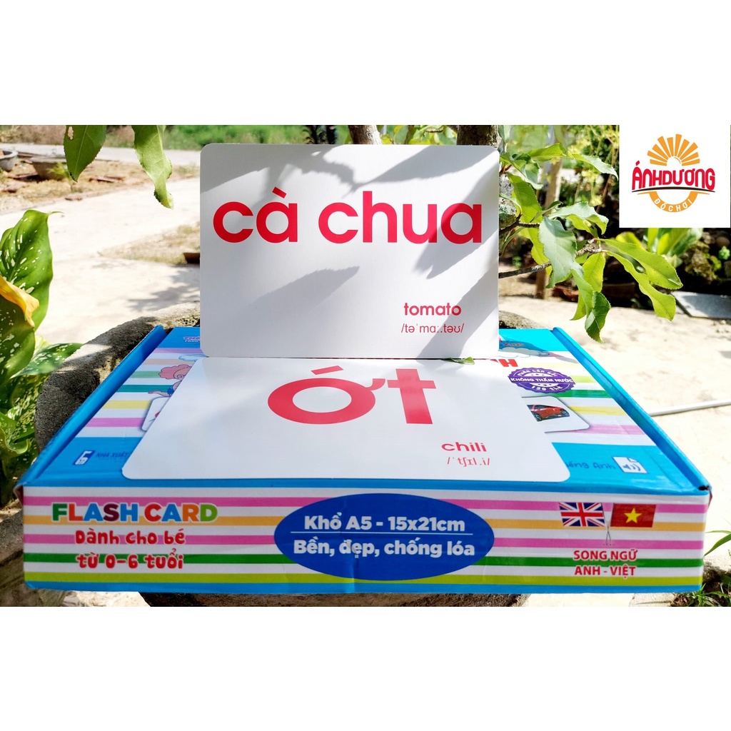 Thẻ Học Chống Nước Cán Bóng- Bộ 120 Thẻ Học Thế Giới Xung Quanh