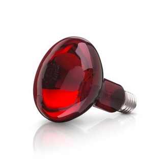 Bóng đèn hồng ngoại Philips 100W