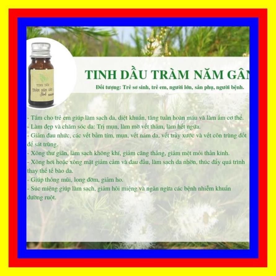 30ml- Tinh Dầu Vỏ Bưởi, Sả Chanh, Thanh Trà, Tràm, Tràm Năm Gân, Thiên Niên Kiện- Tinh Dầu Làng Hạ - Huế- Liên Minh Xanh