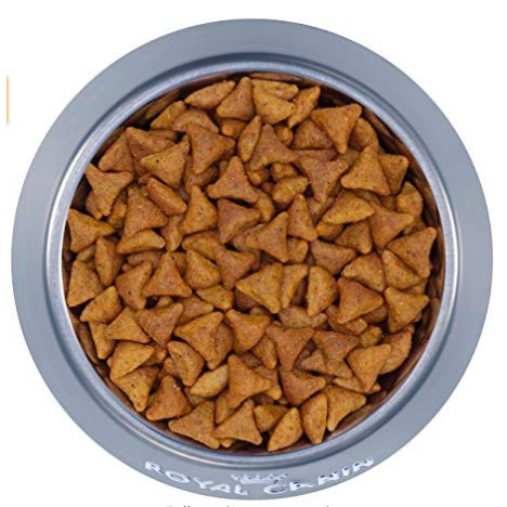 Thức ăn hạt ROYAL CANNIN INDOOR cho mèo trên 12 tháng tuổi