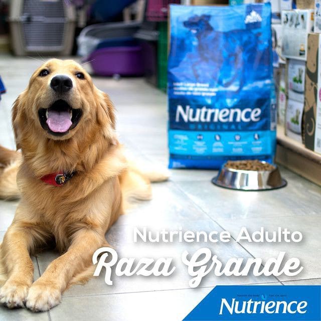 [DINH DƯỠNG CAO] Thức Ăn Cho Chó Đốm (Dalmatian) Nutrience Original Bao 11,5kg - Thịt Gà, Gạo Lứt, Rau Củ Và Trái Cây