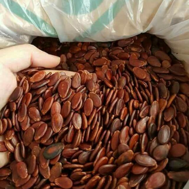Hạt Dưa Hùng Ký