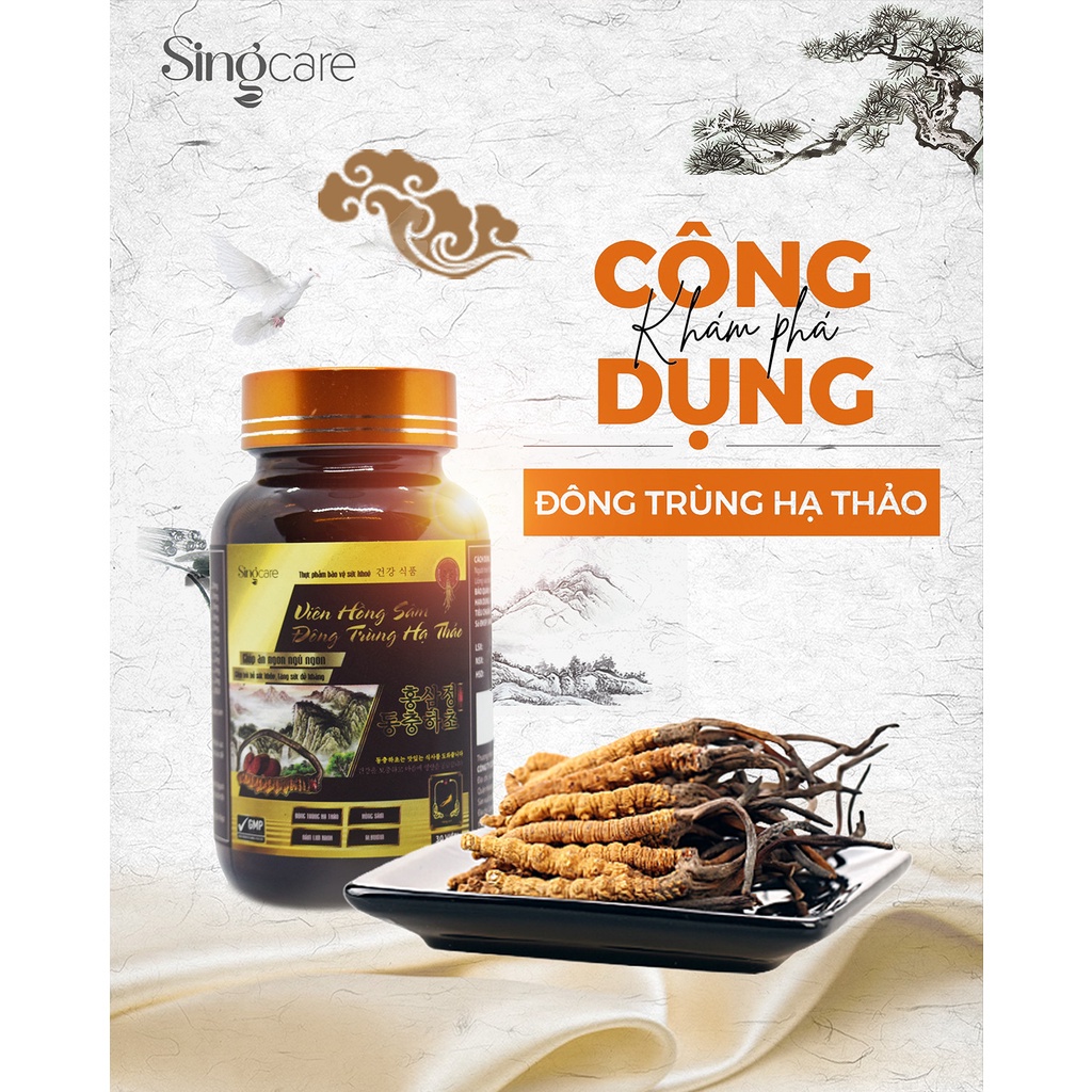 Viên hồng sâm Đông Trùng Hạ Thảo - bồi bổ sức khỏe, tăng cường sức đề kháng tm