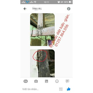 Lốc 12 Lọ Thuốc Diệt Kiến Gián