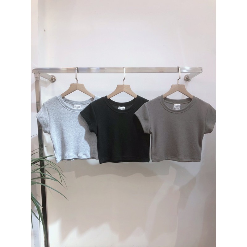 [Mã WAMT10K giảm 10k cho đơn 0k] CESAR LISA TOP (ÁO GROPTOP TRƠN) | BigBuy360 - bigbuy360.vn