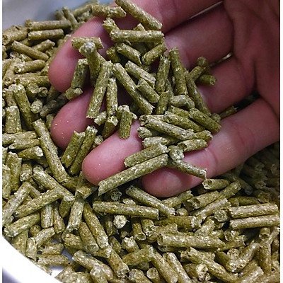 Cỏ nén alfalfa, cỏ Linh lăng dinh dưỡng cho Guinea Pig (bọ ú, chuột lang), thỏ, chinchilla 500g