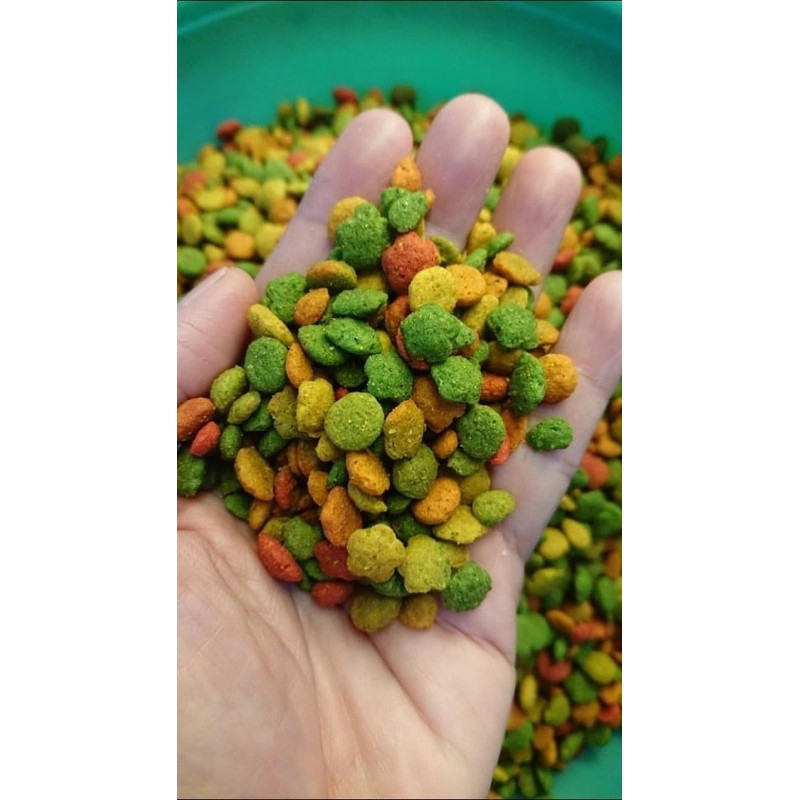 Hạt trái cây G14 dành cho vẹt gói lẻ 100g