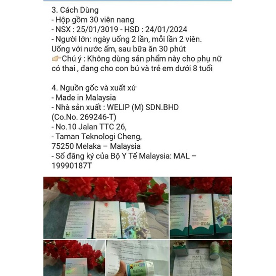 TUYẾT LIÊN PHONG THẤP LINH PLUS MALAYSIA