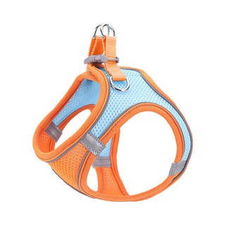 Dây xích cho chó, đai đeo ngực, chó vừa và nhỏ, đi dạo, mèo ngăn Teddy không bị đứt