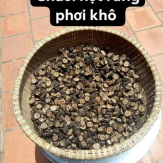 Chuối hột rừng khô Tây Bắc