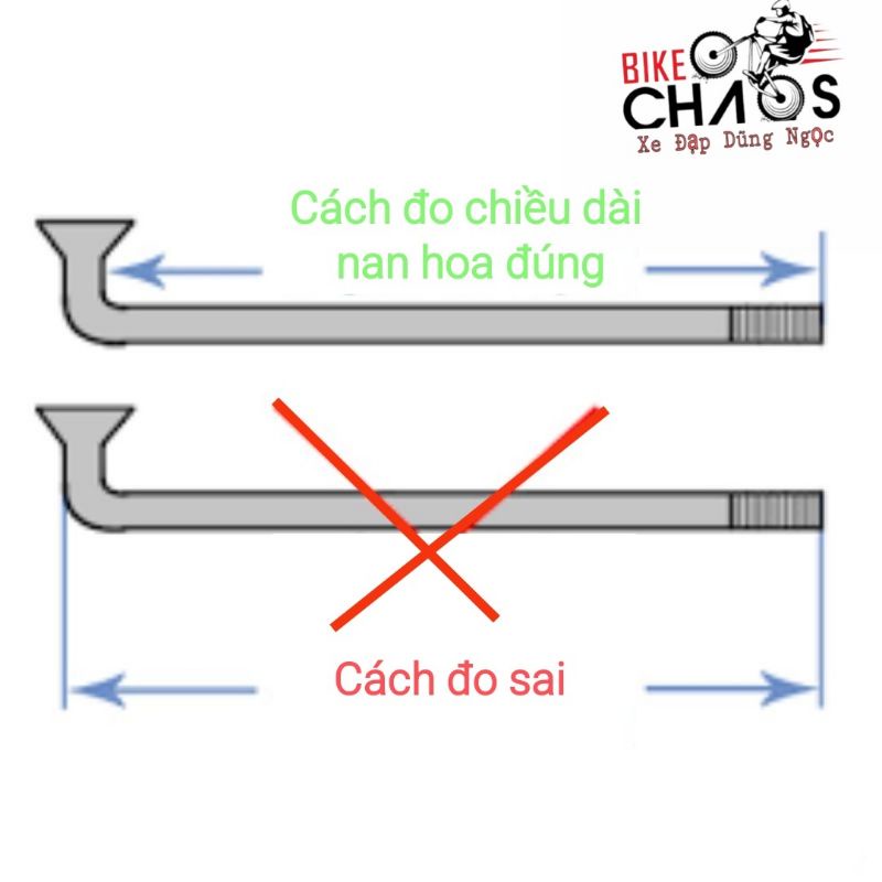 Set 5 Nan hoa, căm xe đạp inox không rỉ