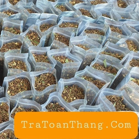 TRÀ SƠN MẬT HỒNG SÂM , GIÚP THANH NHIỆT, HỖ TRỢ ĐIỀU TRỊ MẤT NGỦ, HẠ MỠ MÁU