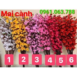 Cành Hoa Anh Đào Giá Sỉ