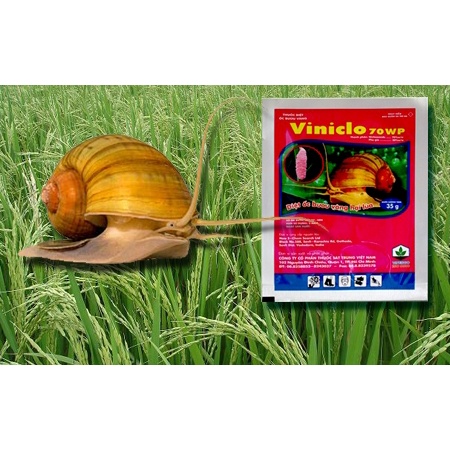 Thuốc Trừ Ốc VINICLO 70WP - Diệt Ốc Sên, Bươu  vàng Hại Cho Cây Trồng | gói 35g