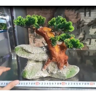 Mô hình mẫu cây trên vách đá sử dụng cho bể cá cảnh thủy sinh