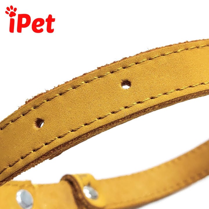 Vòng Cổ Bằng Da Bò 100% Cho Chó Từ 5-15kg - iPet Shop