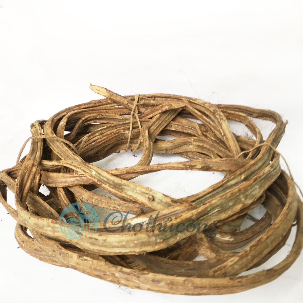 Dây rừng tự nhiên sợi to dài - dây xoắn rừng phơi khô dùng làm cây hoa leo handmade decor sự kiện, phụ kiện chụp ảnh