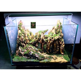 Đá Tiger siêu vân loại 1