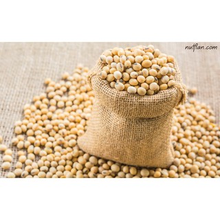 1kg Đậu Nành (Đậu Tương)