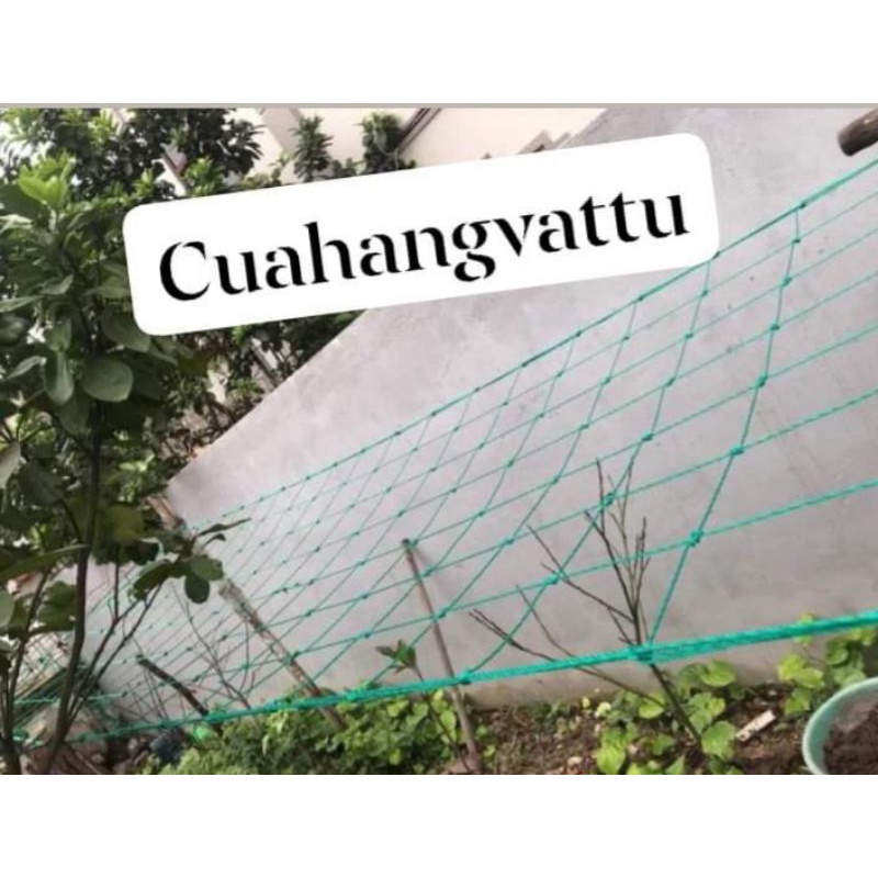 Lưới giàn leo , lưới giàn cây, lưới trồng cây leo, lưới trồng bầu bí nhiều kích thước, bán từ 4m dài trở lên