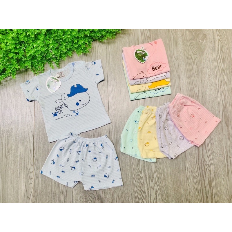 Bộ quần áo cộc thông hơi HN Kids