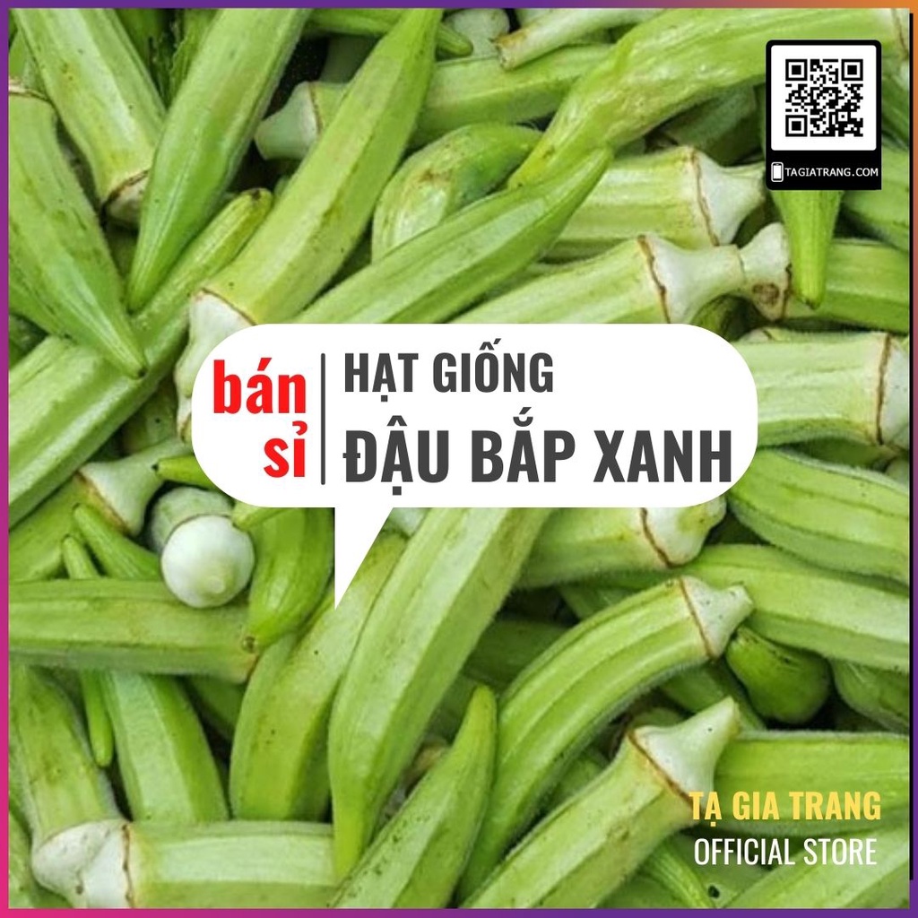 [Bán sỉ] - Hạt giống đậu bắp xanh cao sản