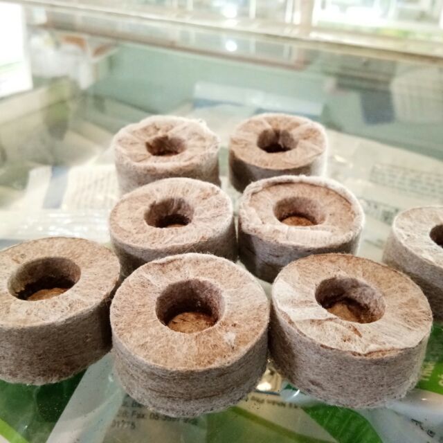 1 Viên nén ươm hạt giống