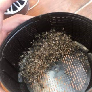 ĐÈN DIỆT MUỖI THÔNG MINH