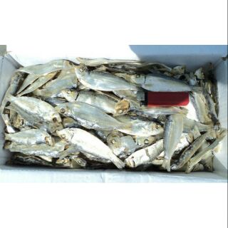 3kg khô trích ( Freeship từ 99k )