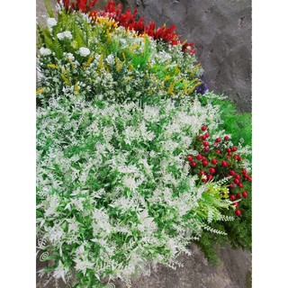 Cụm Cỏ điểm dấu hỏi