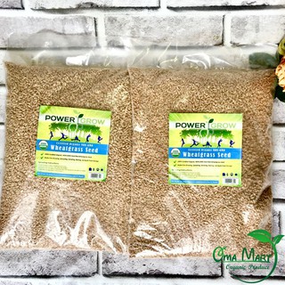 Hạt giống lúa mì hữu cơ Power Grow 2.27kg