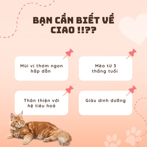 Thức Ăn Ciao Thức Ăn Ướt Cho Mèo Pate Cho Mèo CIAO Gói Nhuyễn  Pate Thưởng Cho Mèo Nhiều Vị Thơm Ngon_TITIPETS