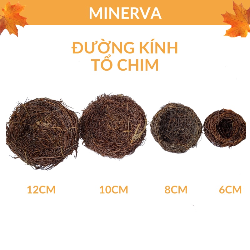 Tổ chim trang trí decor nhà cửa, tổ chim mini làm chậu trồng sen đá, chậu treo, phụ kiện chụp ảnh