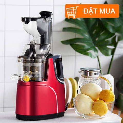 MÁY ÉP CHẬM NGUYÊN QUẢ HONGXIN RH-312 CÔNG NGHỆ HIỆN ĐẠI HÀN QUỐC